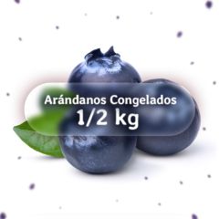 Arandano  Easy Frut x 500gr
